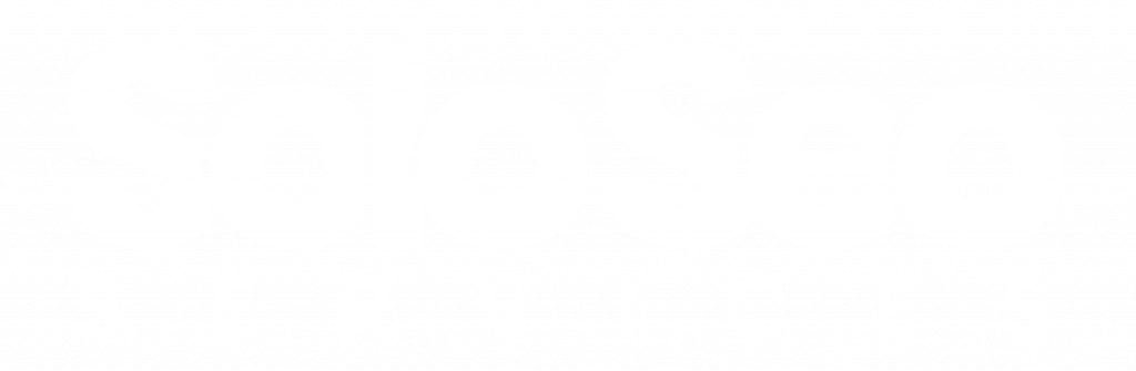 SoloSEOServices